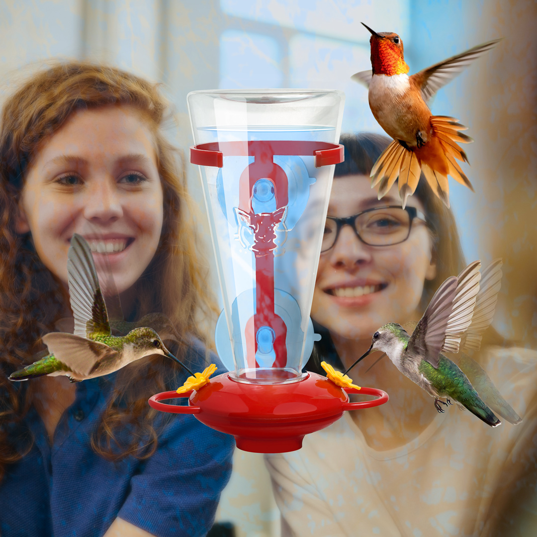 Young people enjoying the beautiful sight of hummingbirds in action